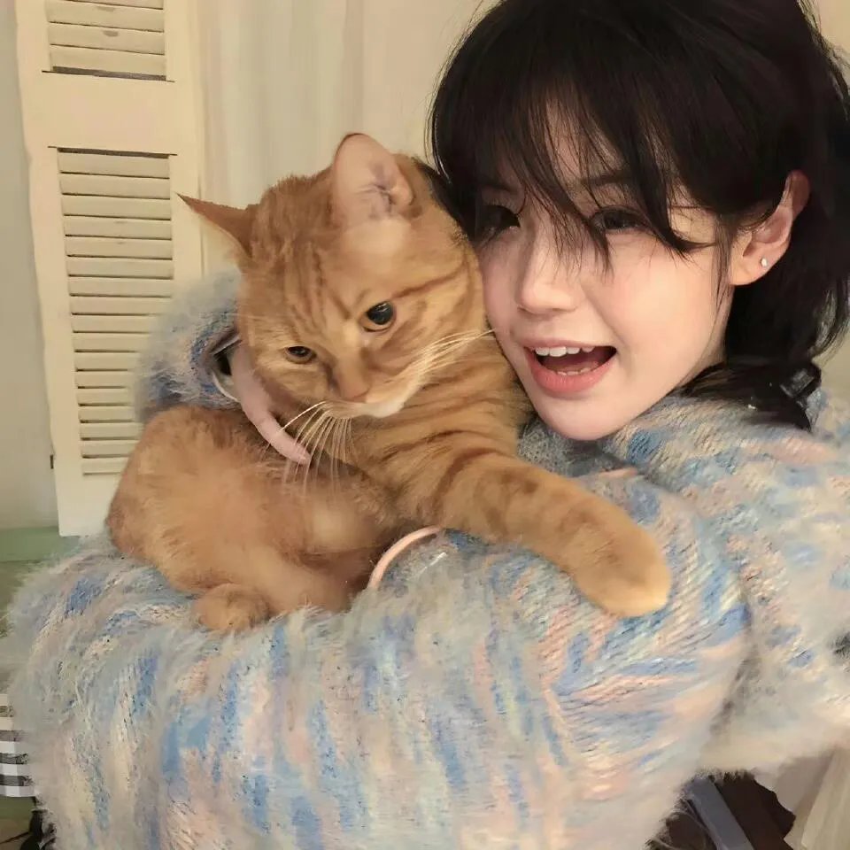 公主大对换:反转再反转