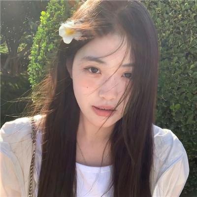 棉尾兔